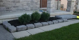 Garden Wall Stones