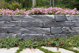 Grand Ledge Wall