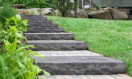 Camden Step