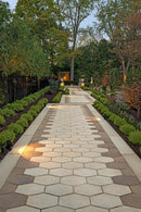 Hexa 60 Paver-2