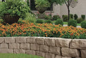 Garden Wall Stone