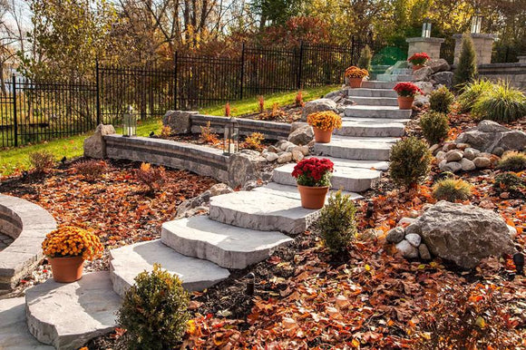 Maya Steps