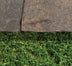 Travertine Beige