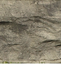 Garden Wall Stone